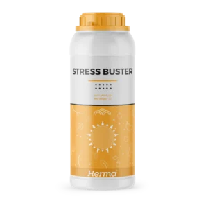 Stress Buster